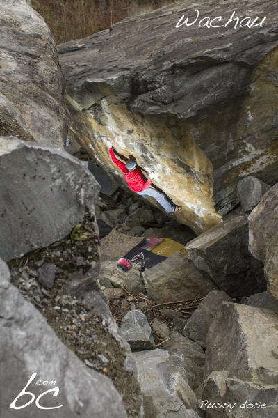 Stefan in "Pussy dose"